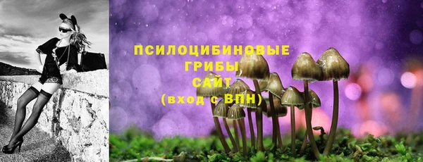 не бодяженный Беломорск