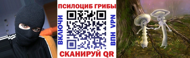 Псилоцибиновые грибы Magic Shrooms  где продают наркотики  omg как зайти  Волхов 