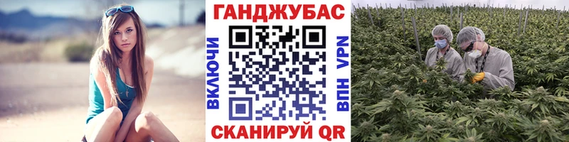 Бошки марихуана OG Kush  Волхов 